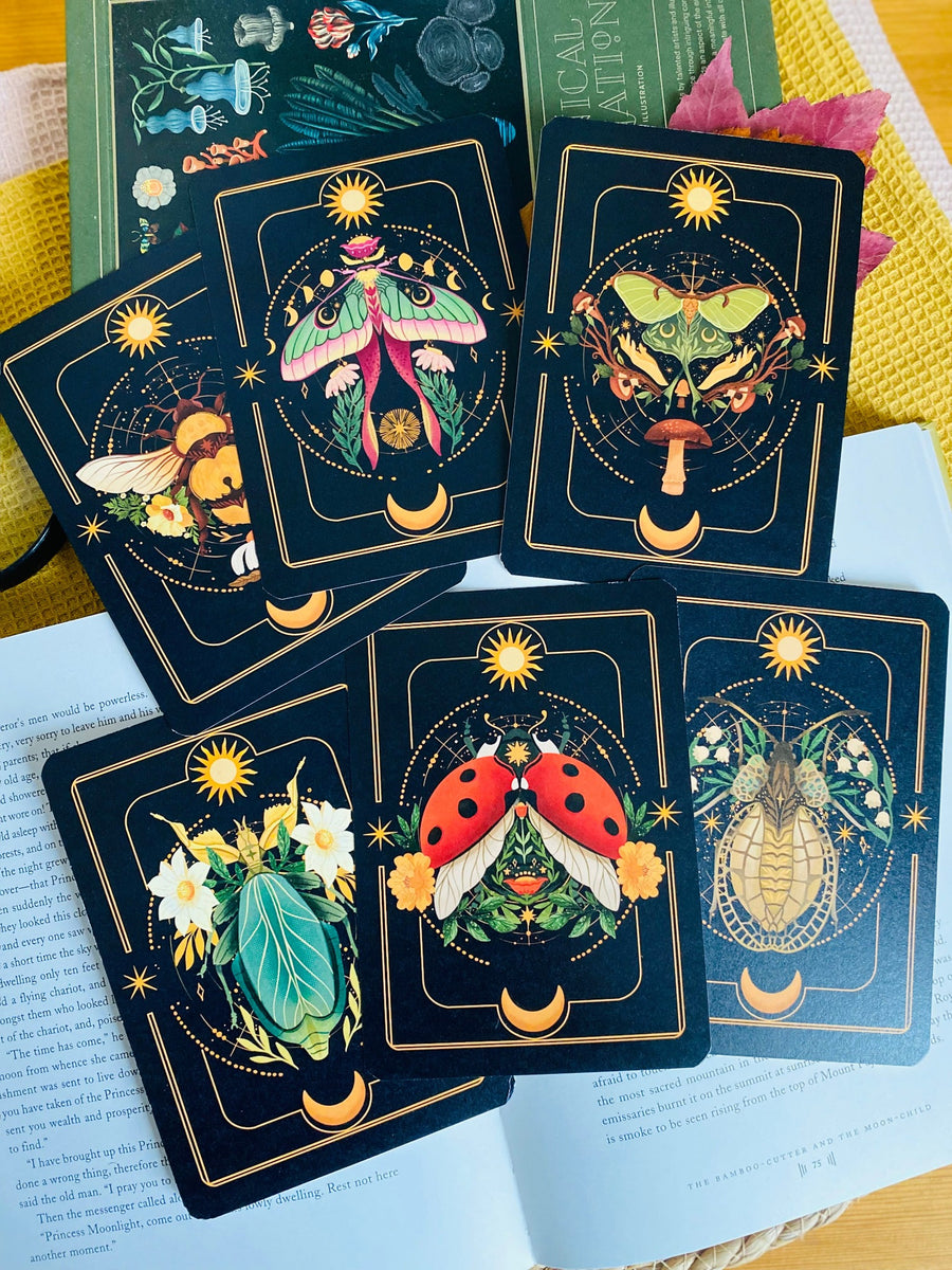 A Set of Insect Art Prints - A6 Bugs Post Card Set